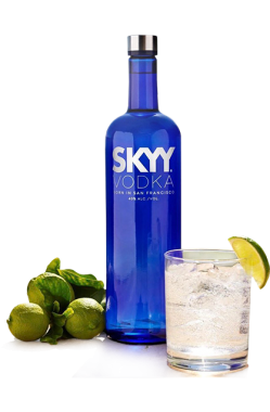 Skyy Vodka bottle